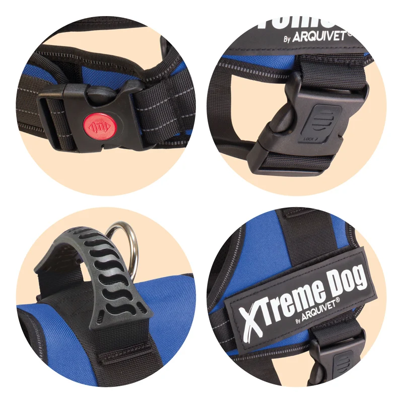 Arnés Xtreme Dog - Azul