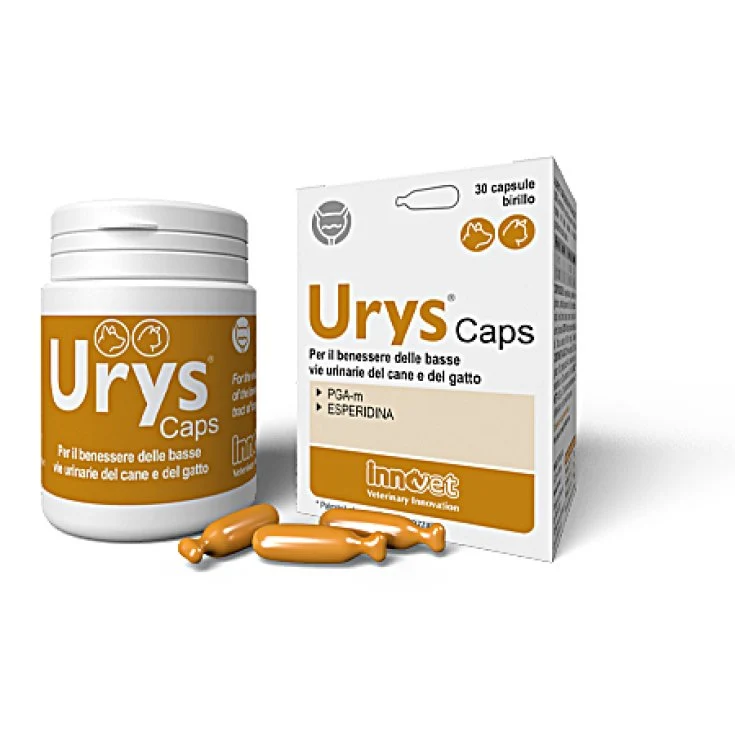 Innovet Urys Caps supporto urinario 30cps