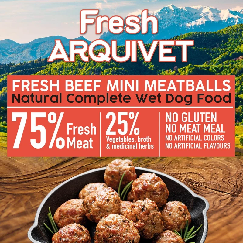 Mini albóndigas con Ternera - Fresh