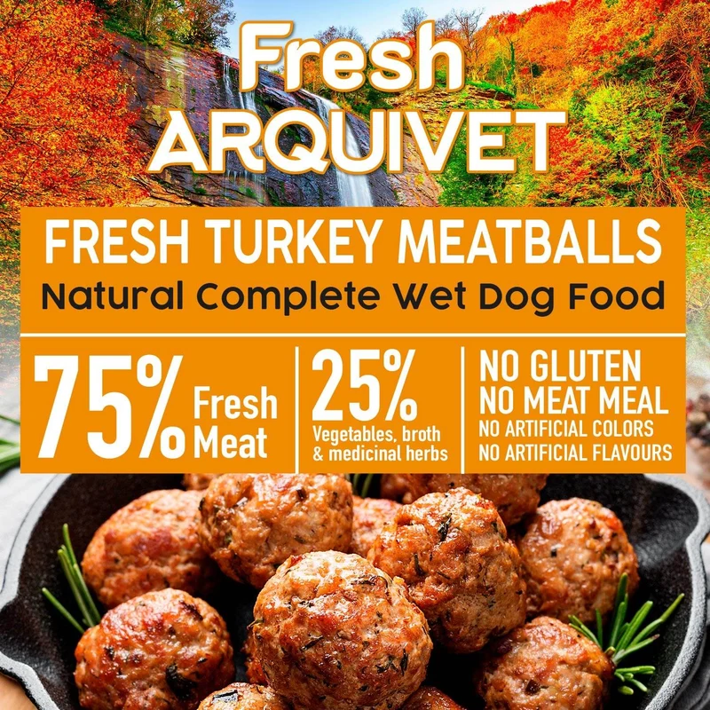 Albóndigas con pavo - Fresh