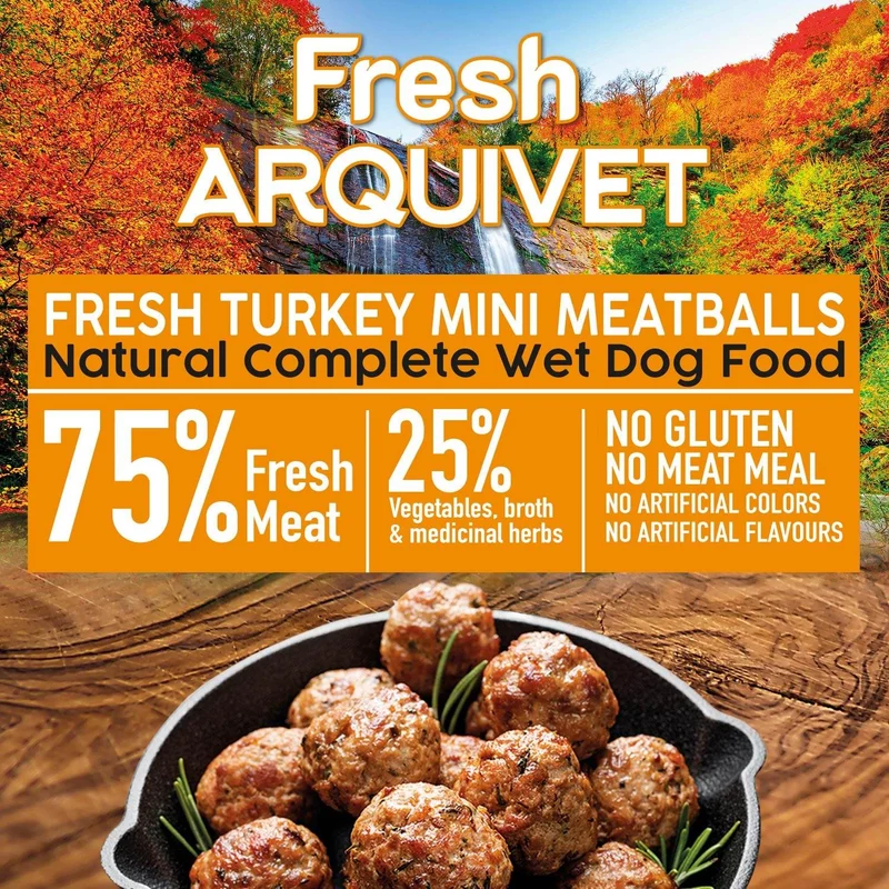 Mini albóndigas con pavo - Fresh