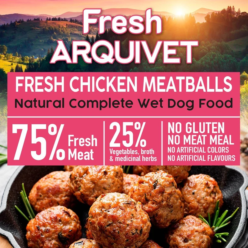 Albóndigas con pollo - Fresh