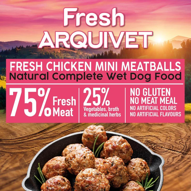Mini albóndigas con pollo - Fresh
