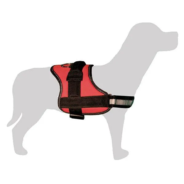 Arnés acolchado para perro