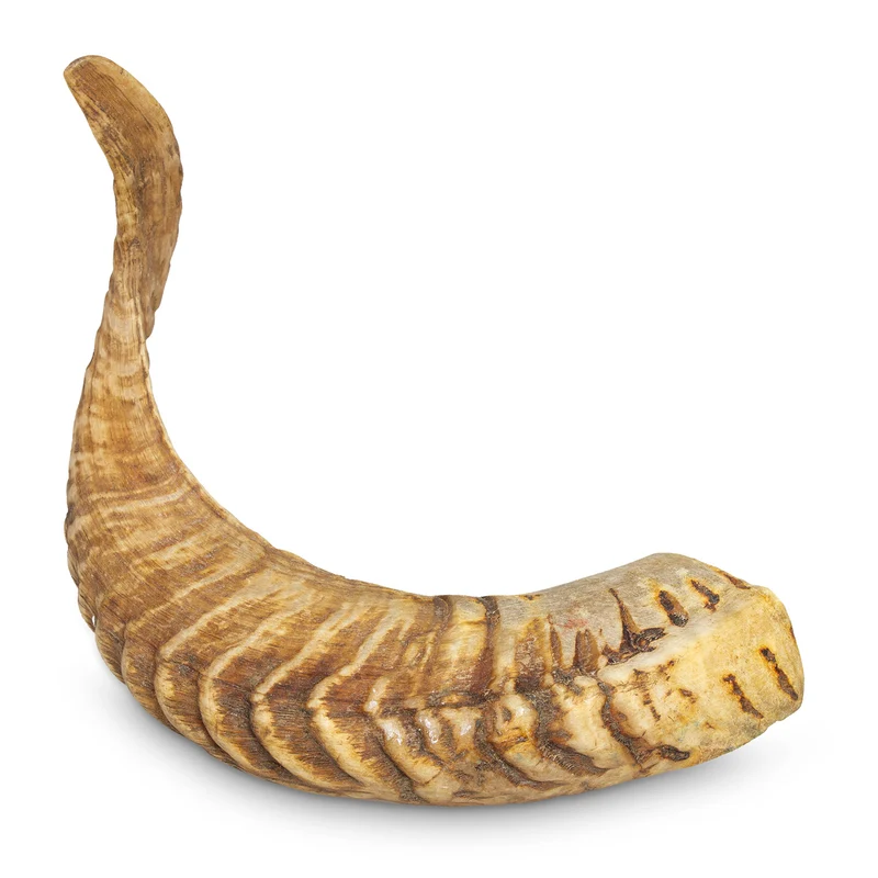 Cuerno de Carnero