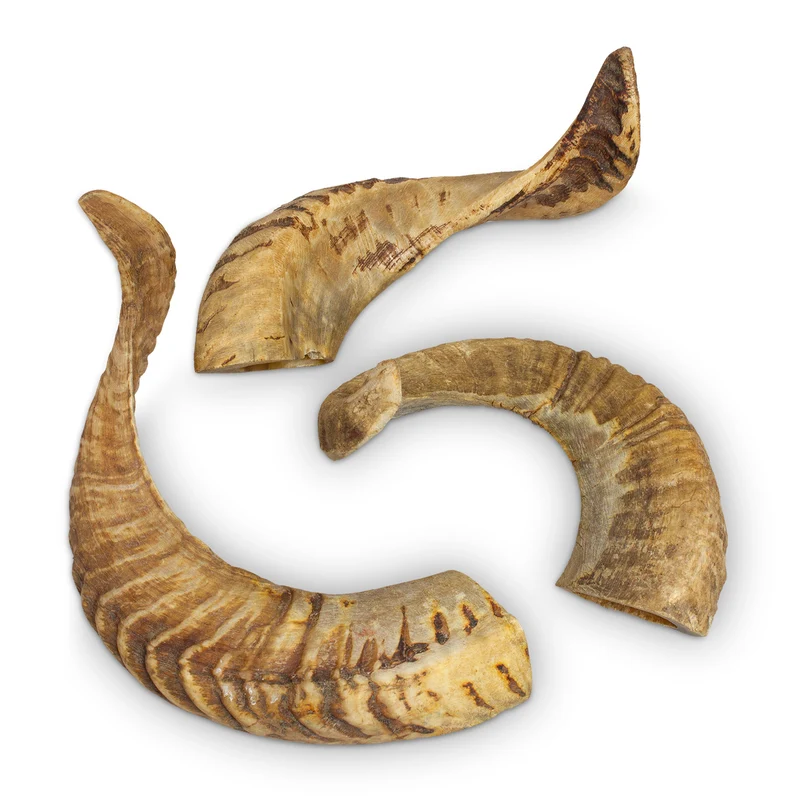 Cuerno de Carnero