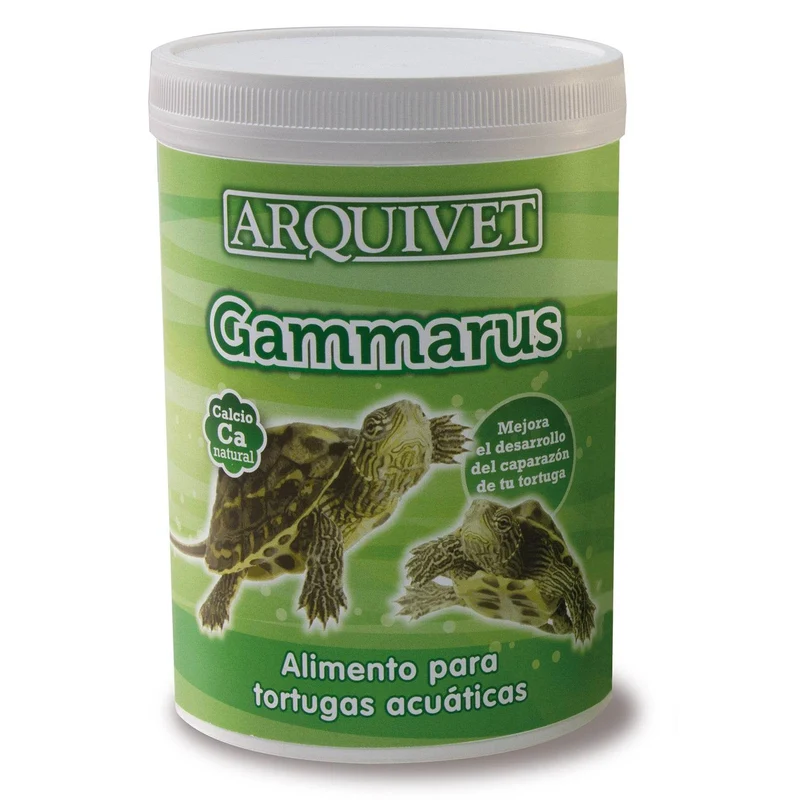 Gammarus