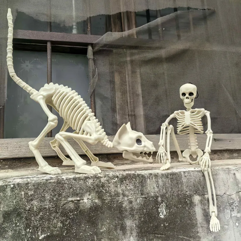 Skeletdecoratie – Mensfiguur en kattenskelet van 40 cm met hanghaak