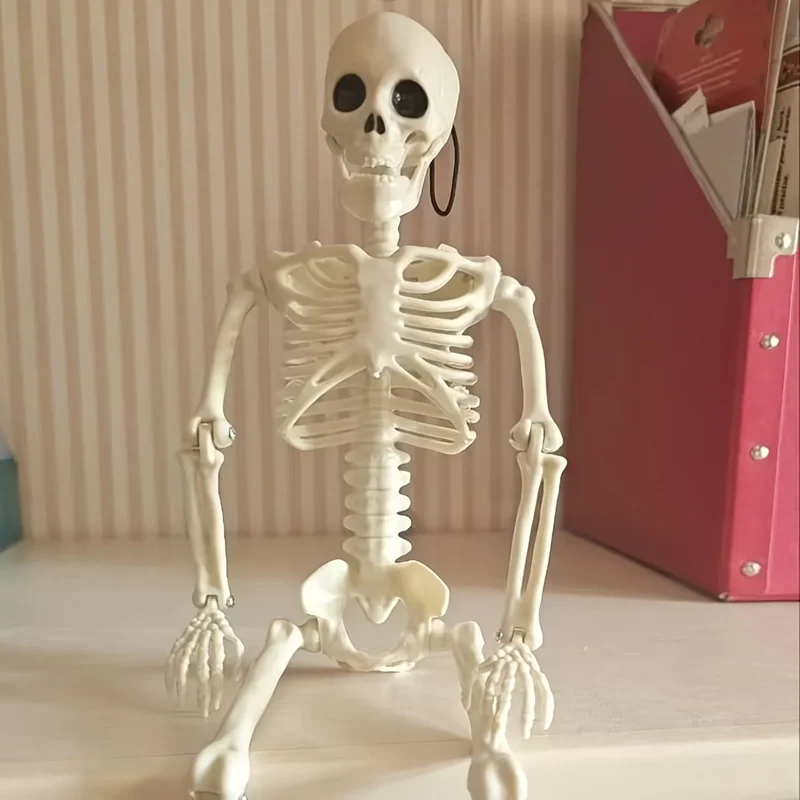 Skeletdecoratie – Mensfiguur en kattenskelet van 40 cm met hanghaak