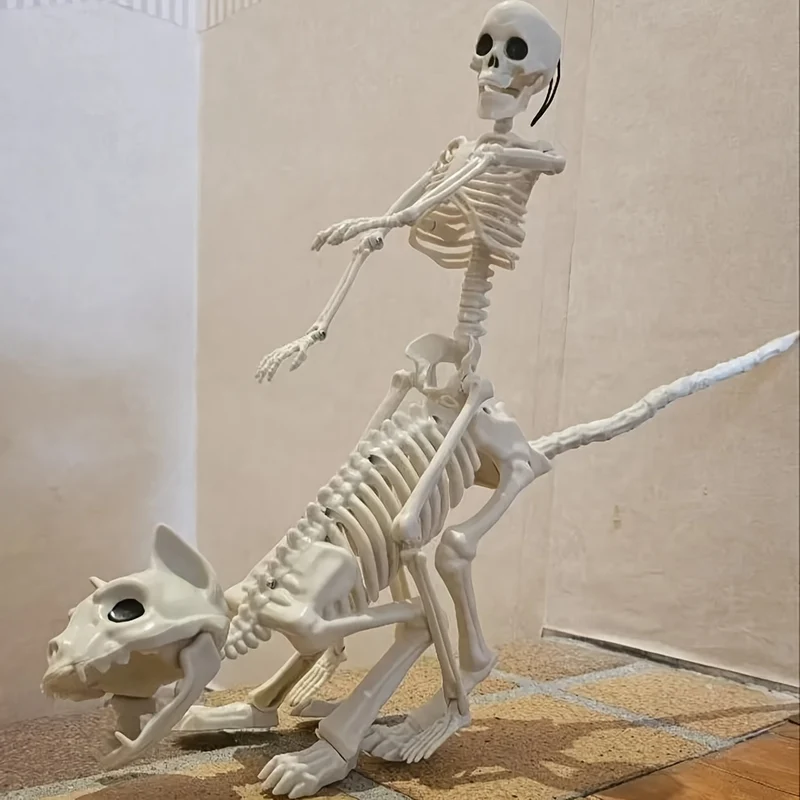 Skeletdecoratie – Mensfiguur en kattenskelet van 40 cm met hanghaak