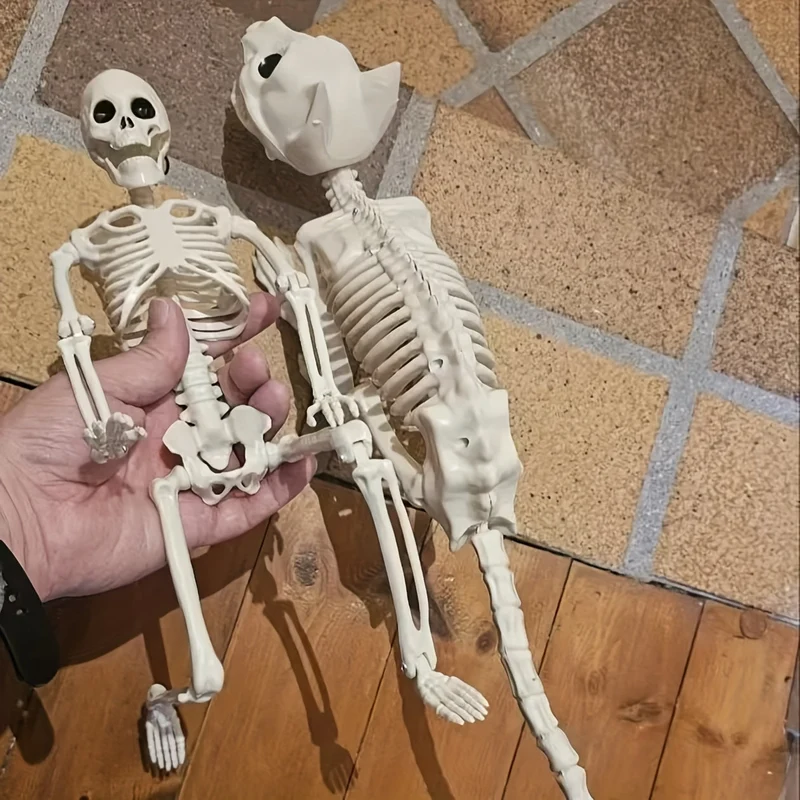 Skeletdecoratie – Mensfiguur en kattenskelet van 40 cm met hanghaak
