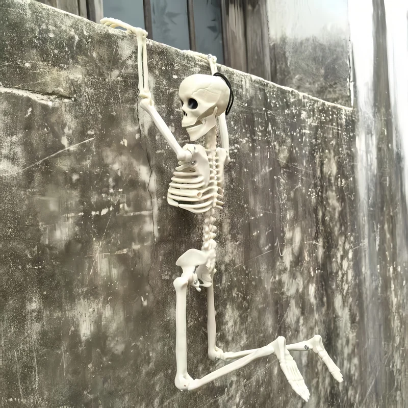 Skeletdecoratie – Mensfiguur en kattenskelet van 40 cm met hanghaak