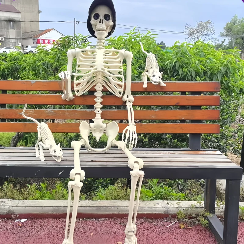 Skeletset poseerbaar – Drie figuren van 1,65 m met beweegbare gewrichten