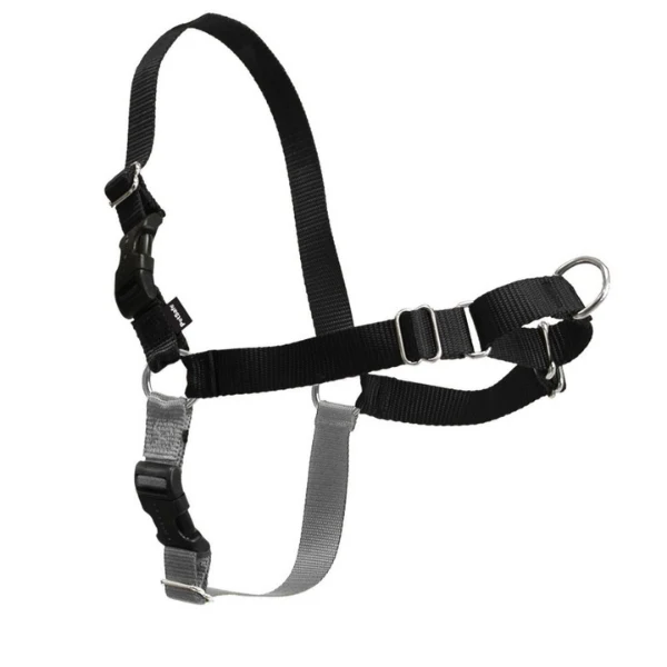 Pettorina Addestramento Easy Walk Professional per Cane