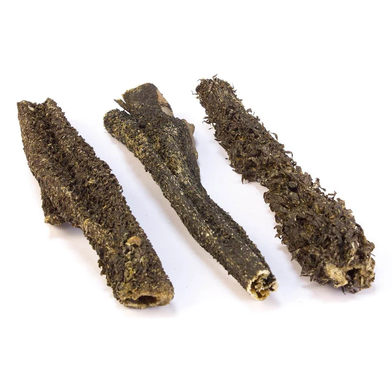 Tripa de búfalo