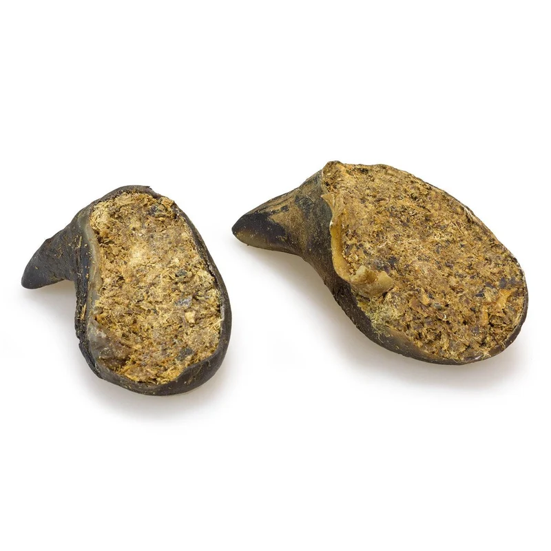 Pezuña de búfalo rellena