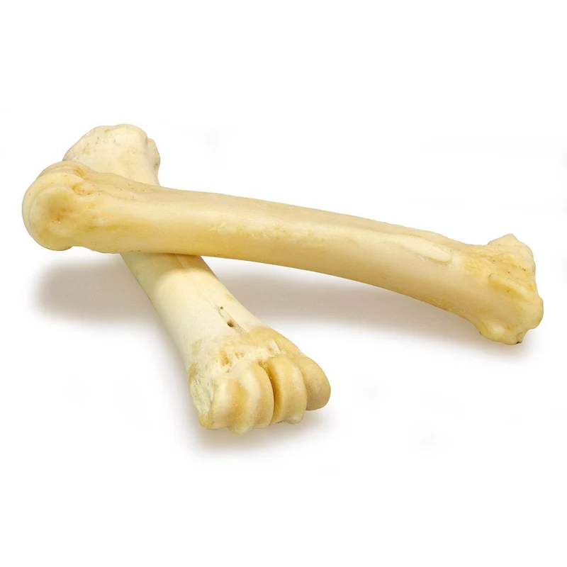 Huesos de Calcio de búfalo 18-25cm - Caja expositora de 16 unidades - 4.000 gr