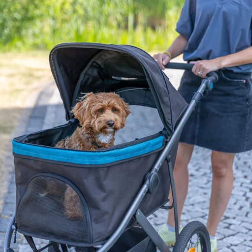 Carrozzina per cani nera/petrolio