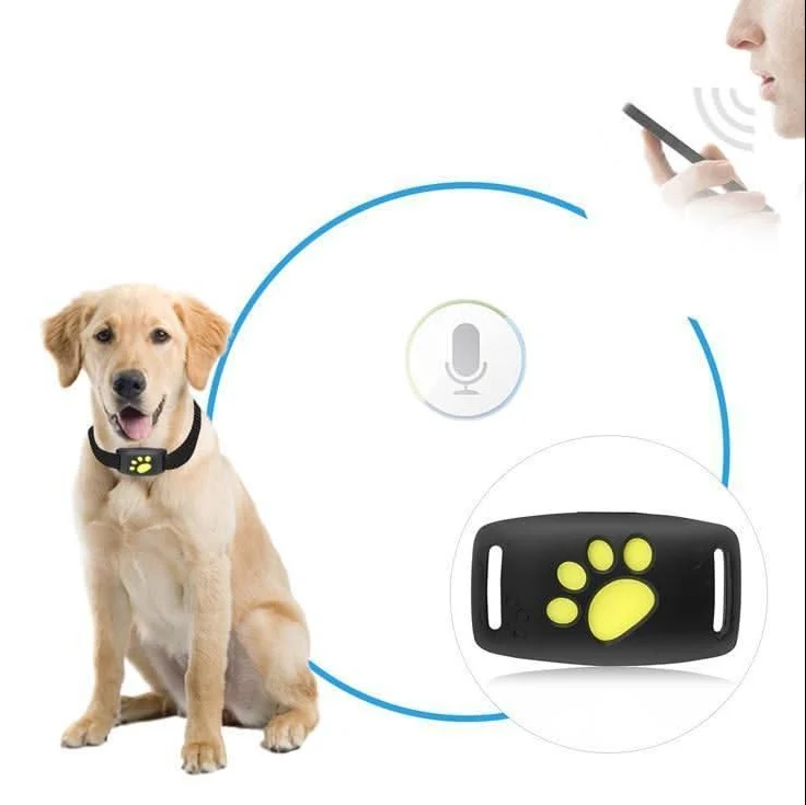 GPS Tracker Hond & Kat – Compacte Huisdier Tracker met App