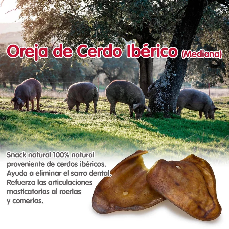 Orejas de cerdo ibérico (3 tallas)