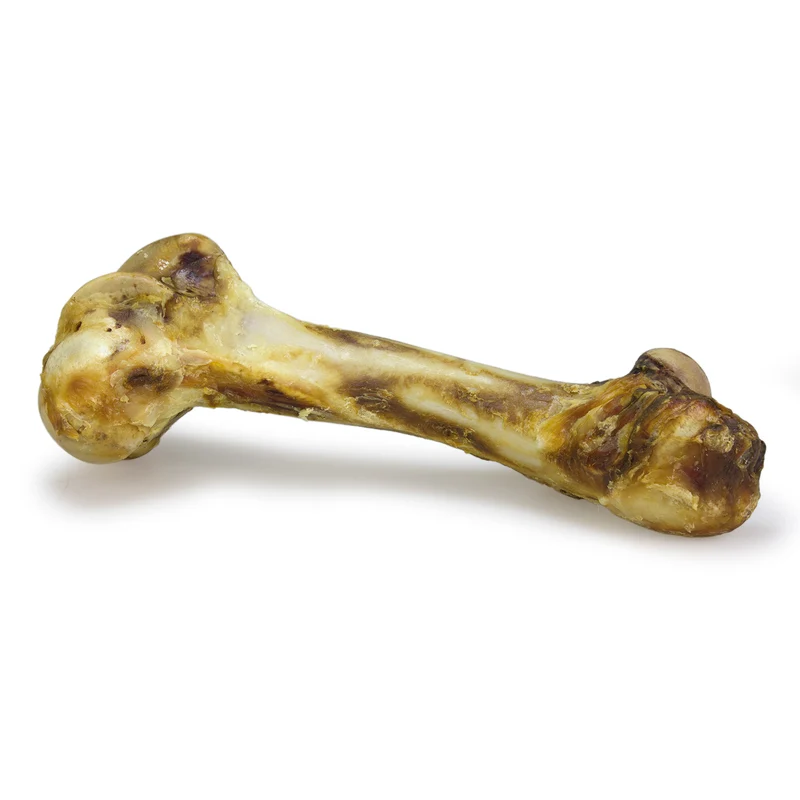 Hueso de buey extra grande "Mamut"