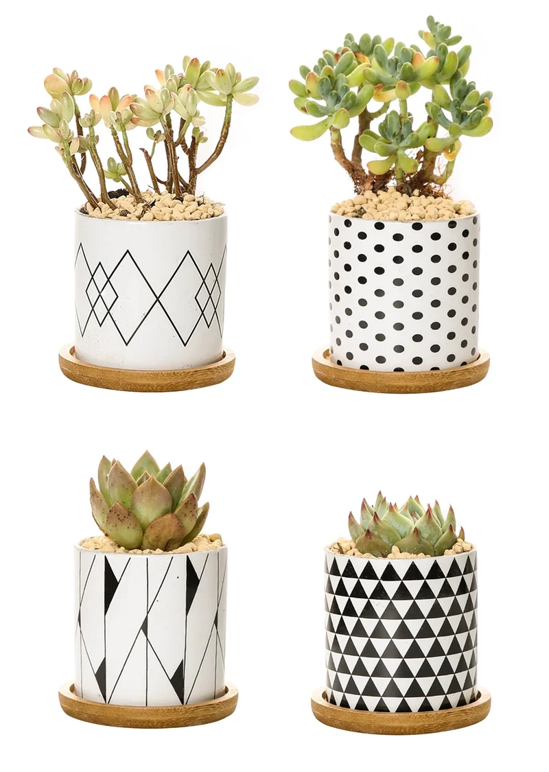 Set 4 Pezzi Vasi In Ceramica Con Decorazioni Fiori Piante Grasse Il Grupponeil