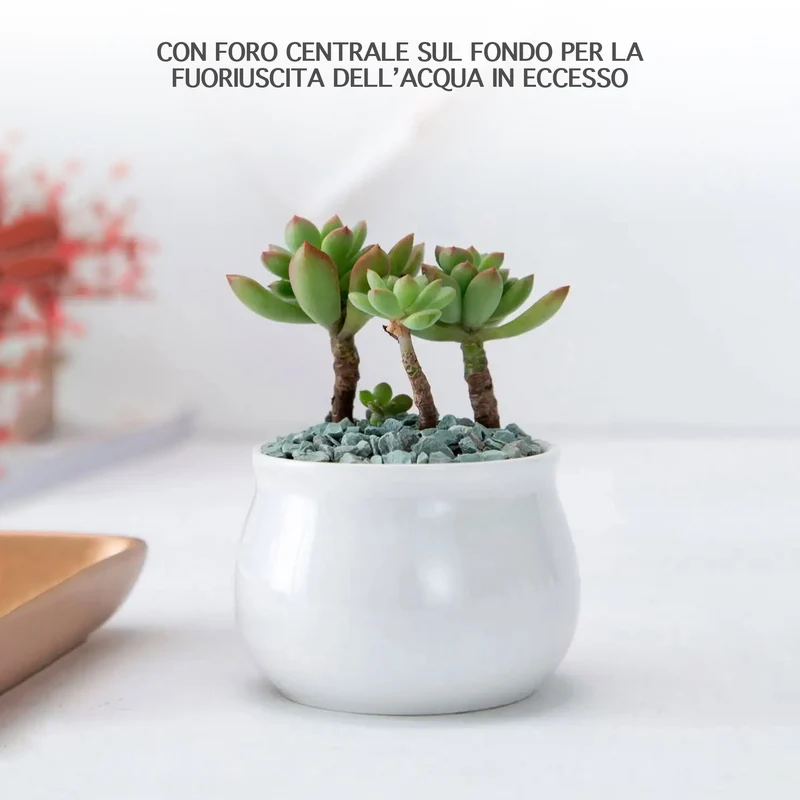Set 4 Pezzi Vasi In Ceramica Con Decorazioni Fiori Piante Grasse Il Grupponeil