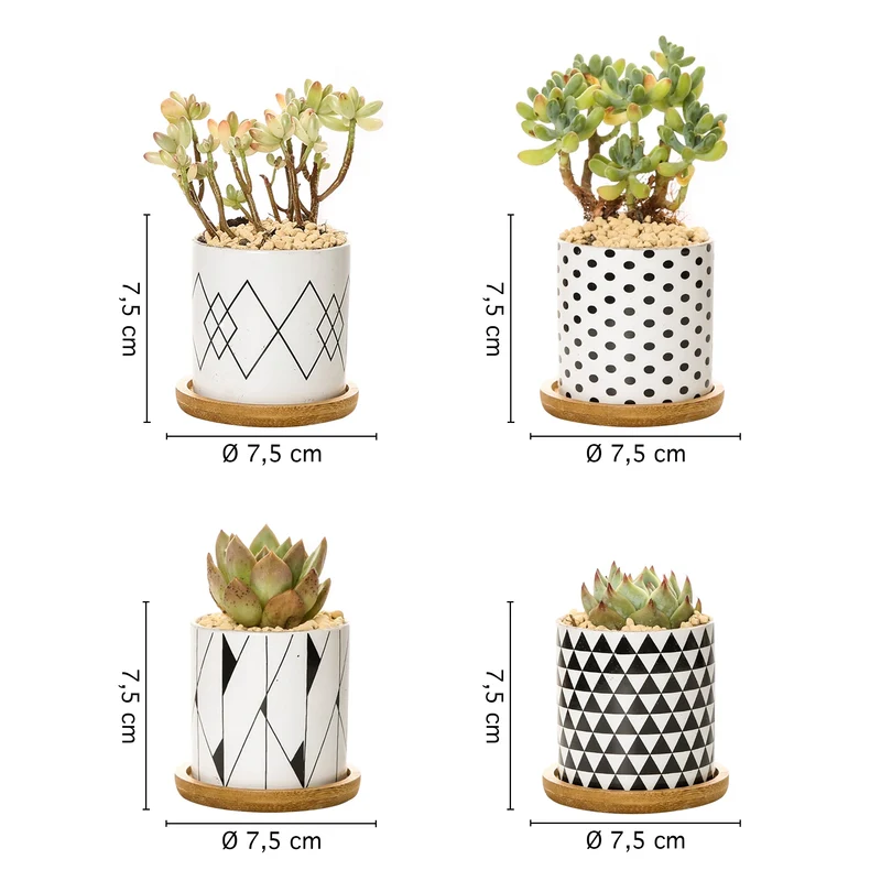 Set 4 Pezzi Vasi In Ceramica Con Decorazioni Fiori Piante Grasse Il Grupponeil