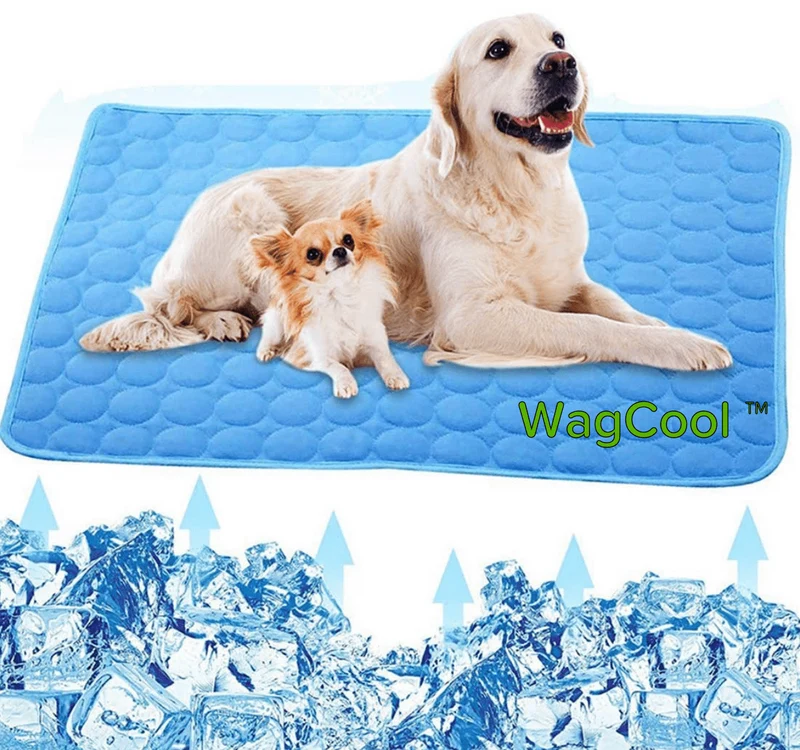Honden Koelmat – Drukactieve Koeling, Lichtgewicht & Opvouwbaar