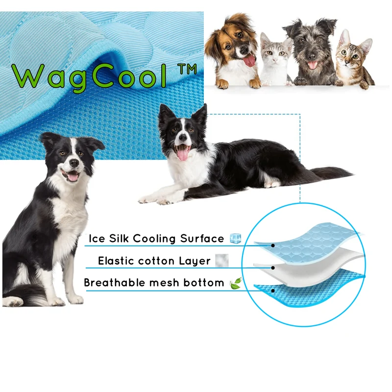 Honden Koelmat – Drukactieve Koeling, Lichtgewicht & Opvouwbaar