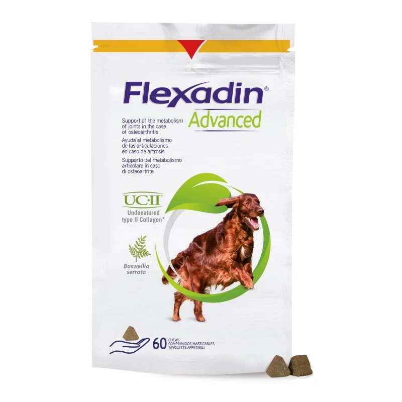 Flexadin advanced cane tutte le taglie 60 tavolette appetibili