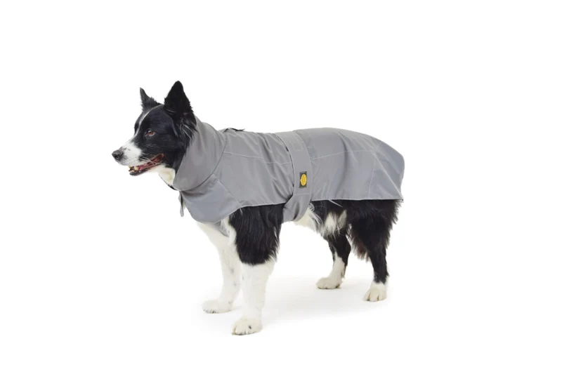 Fashion Dog - Mantella Impermeabile in tessuto catarifrangente – Art. 216