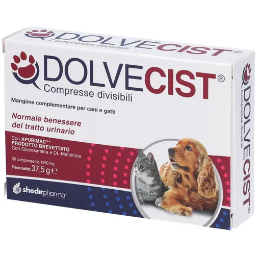 Shedir dolvecist