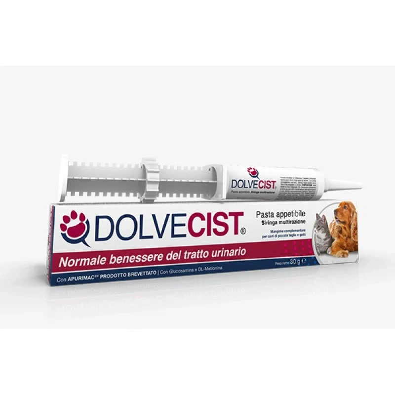 Shedir dolvecist