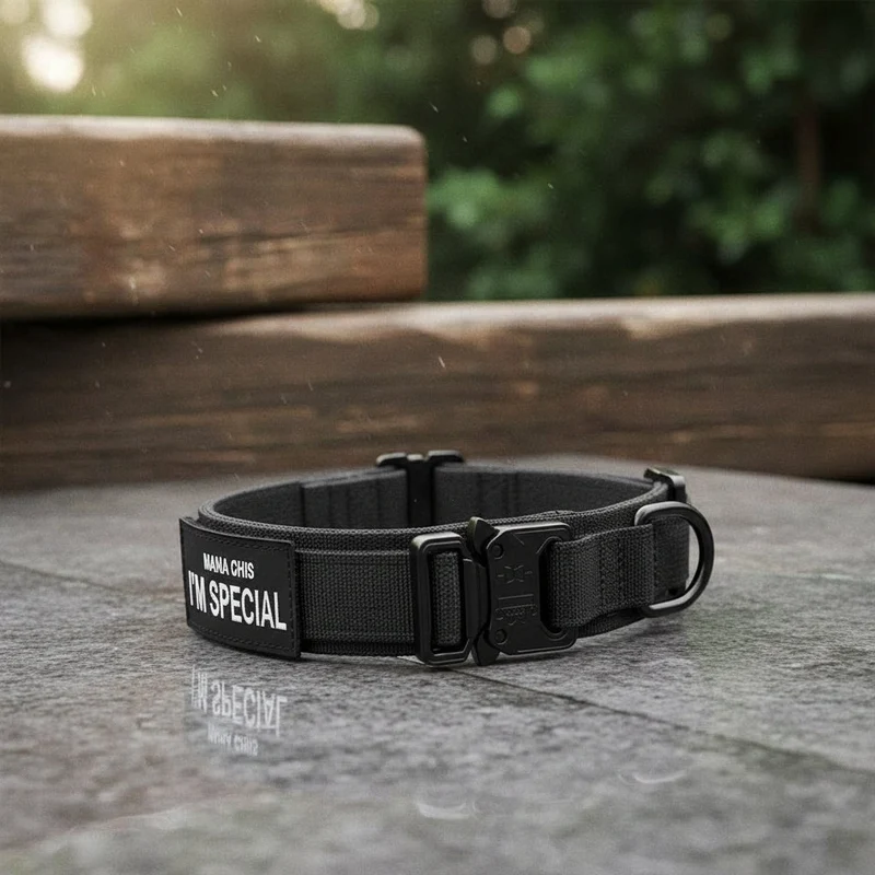 Hondenhalsband – Verstelbaar, Duurzaam Nylon & Met Handgreep