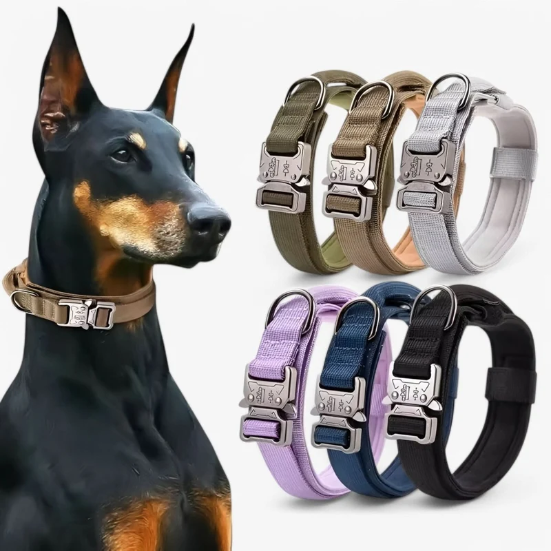 Hondenhalsband – Verstelbaar, Duurzaam Nylon & Met Handgreep