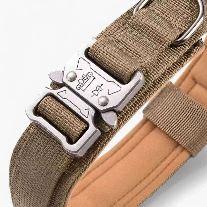 Hondenhalsband – Verstelbaar, Duurzaam Nylon & Met Handgreep