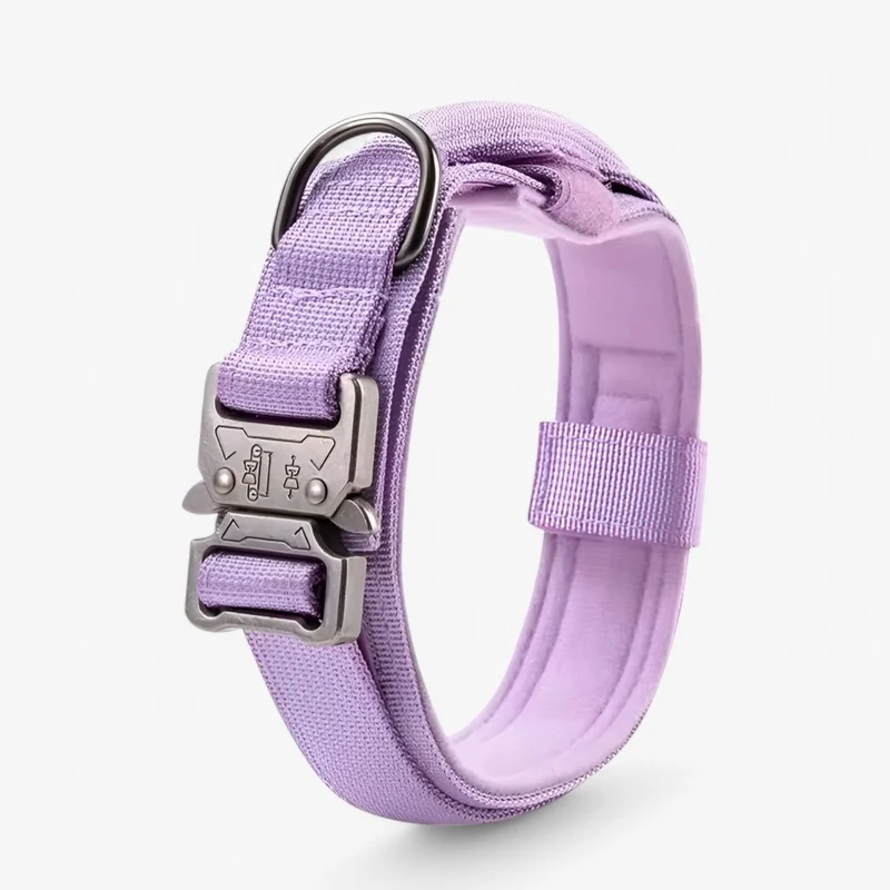 Hondenhalsband – Verstelbaar, Duurzaam Nylon & Met Handgreep