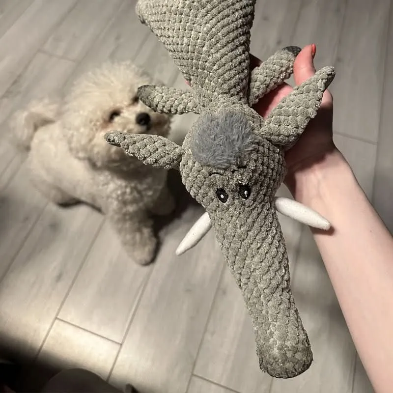 Hondenspeelgoed Denim – Duurzaam, Wasbaar & Voor Kleine en Grote Honden