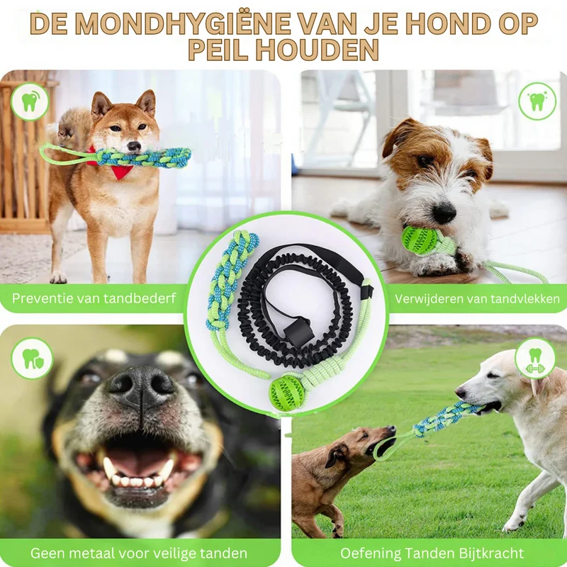Trek Speelgoed voor Honden – Verstelbaar Nylon Ontwerp voor Actief Spelen