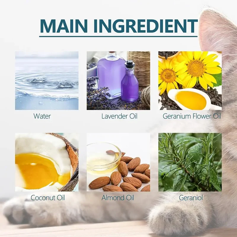 Katten spot-on – 50 ml verzorgingsolie met plantenextracten en druppelfles