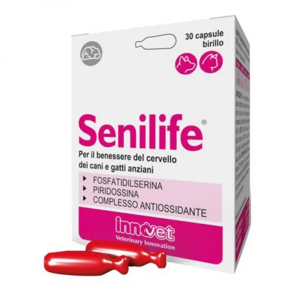 Innovet Senilife Plus - 30 Capsule per il Benessere Cognitivo di Cani e Gatti Anziani