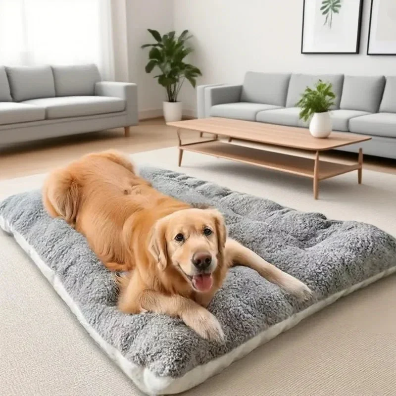 Hondenmat – Extra Zachte Ligmat met Dikke Vulling voor Dagelijks Comfort