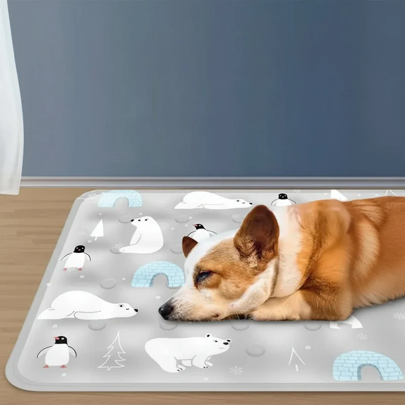 Koelmat voor Honden en Katten – Verfrissende Gelmat voor Dagelijks Gebruik