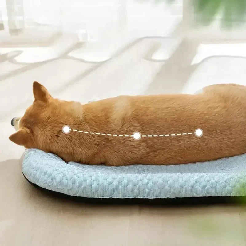 Hondenbed – Ovale Ligmat met Zachte Rand en Ademend Oppervlak