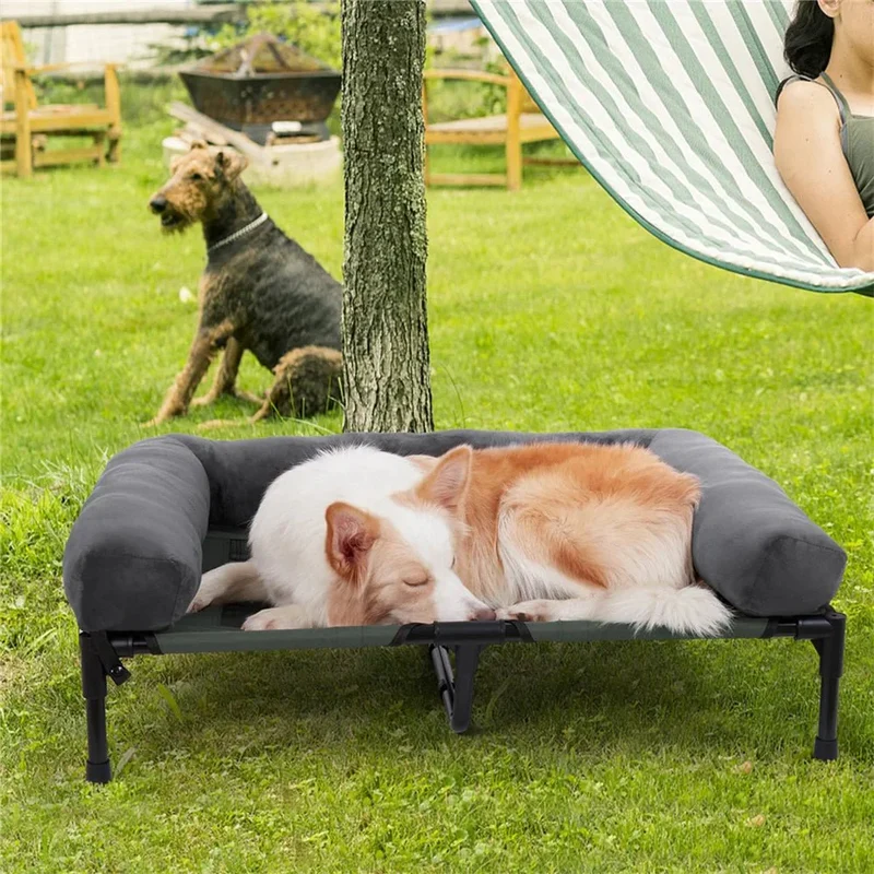 Hondenbed – Verhoogde Ligplek met Zachte Rand en Stevig Frame