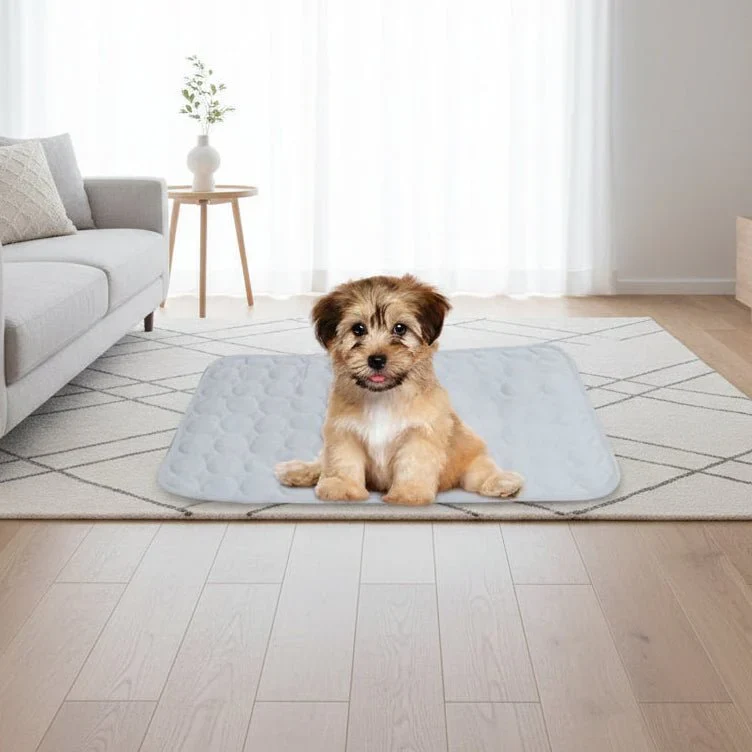 Huisdiermat voor Honden en Katten – Zachte Slaapmat met Ademend Oppervlak voor Dagelijks Comfort