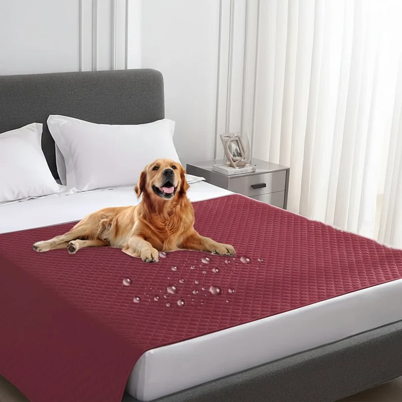 Honden- en kattenkleed – Waterafstotende bescherming voor meubels