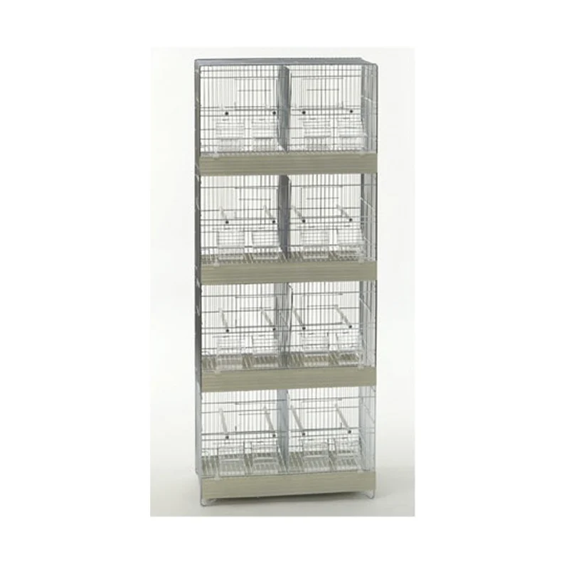 Domus Molinari gabbia zincata ART. 320/50/4-10