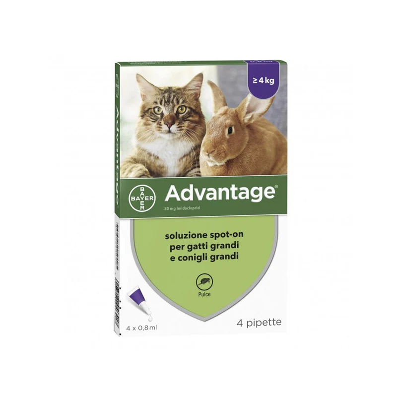 Advantage Spot-on antipulci per gatti e conigli di taglia grande